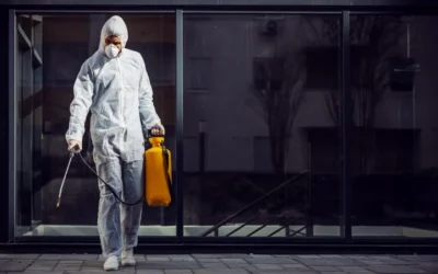 Dedetizadora em Itaquaquecetuba SP