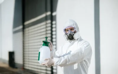 Contrate uma Dedetizadora em Suzano – São Paulo antes que seja tarde demais