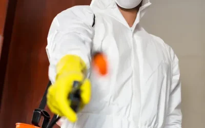 Dedetização de escorpiões em Guarulhos: como reduzir os riscos em casas e condomínios?