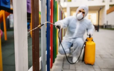 Dedetização de percevejos de cama em hotéis de São Paulo: como agir diante de uma infestação?