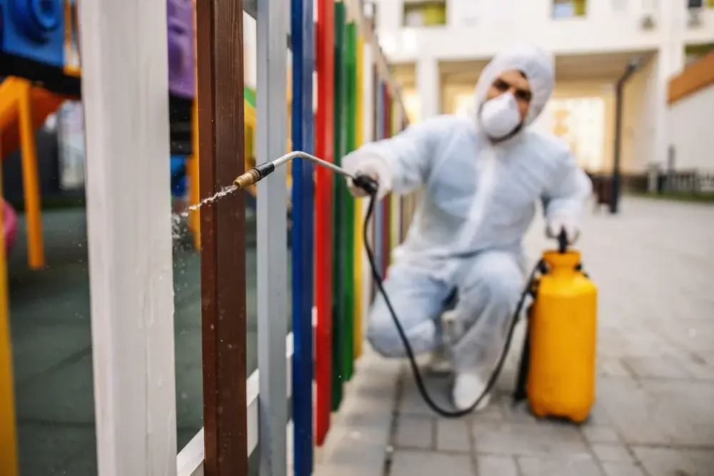 Dedetização de percevejos de cama em hotéis de São Paulo: como agir diante de uma infestação?