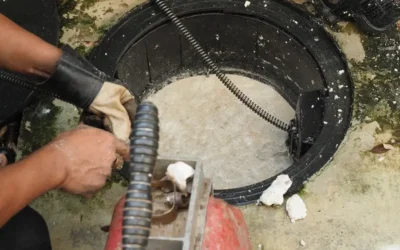 Dedetização em galpões industriais de Guarulhos: quais pontos devem entrar no monitoramento?