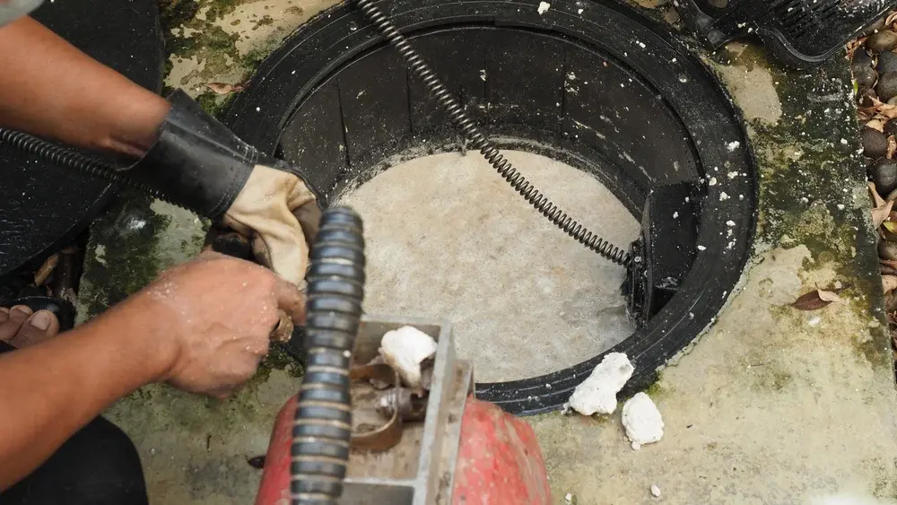 Dedetização em galpões industriais de Guarulhos: quais pontos devem entrar no monitoramento?